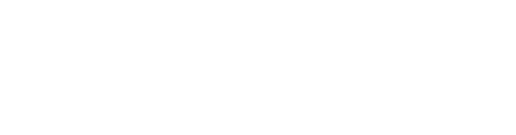 logo-NG
